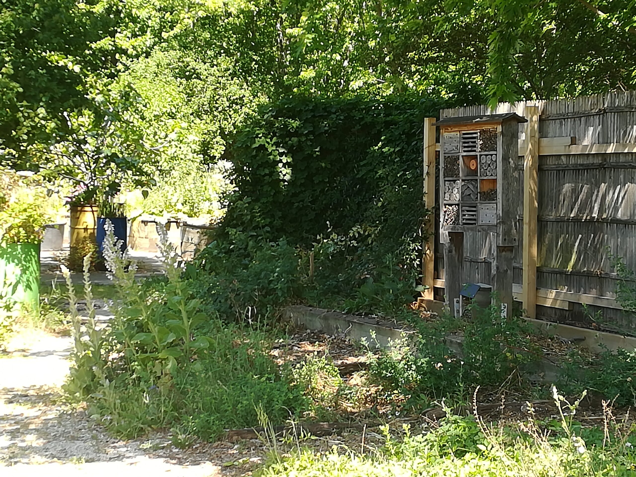 Photo 4