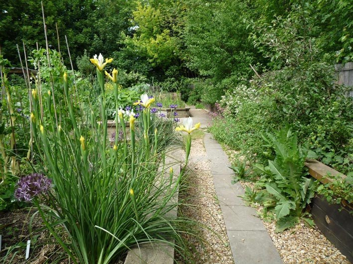 Photo 6