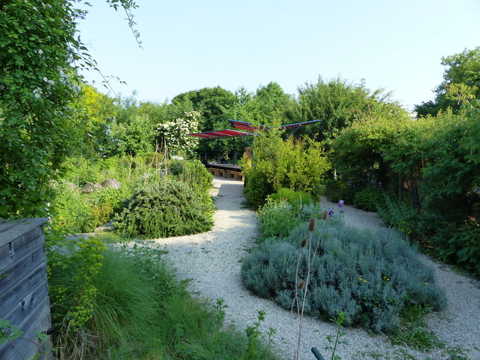 Photo 7